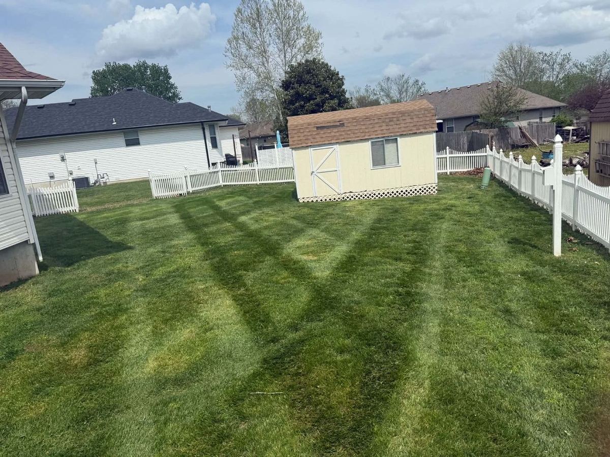 Backyard mowed in stripes beside a shed and white fence