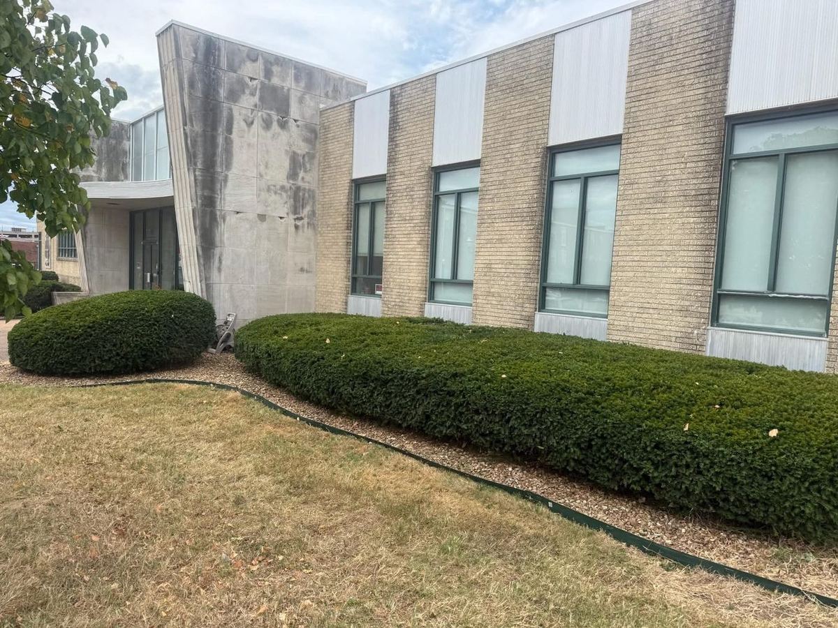 Trimmed hedge row along a commercial building