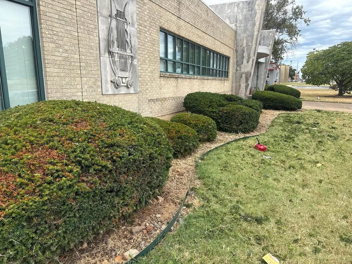 Shaped shrubs along a commercial building