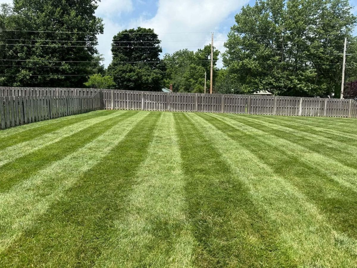 Fenced backyard mowed with deep, even stripes