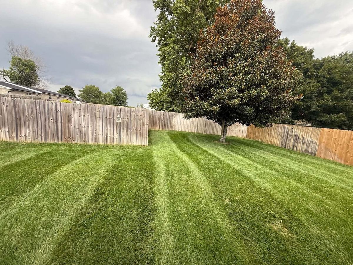 Fenced backyard with a shade tree mowed in stripes
