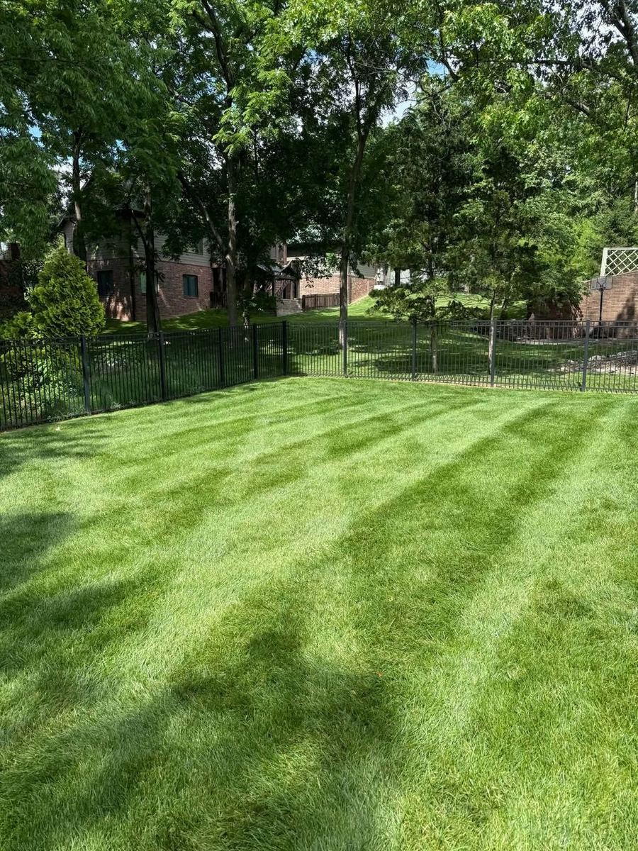 Fenced backyard mowed in even stripes