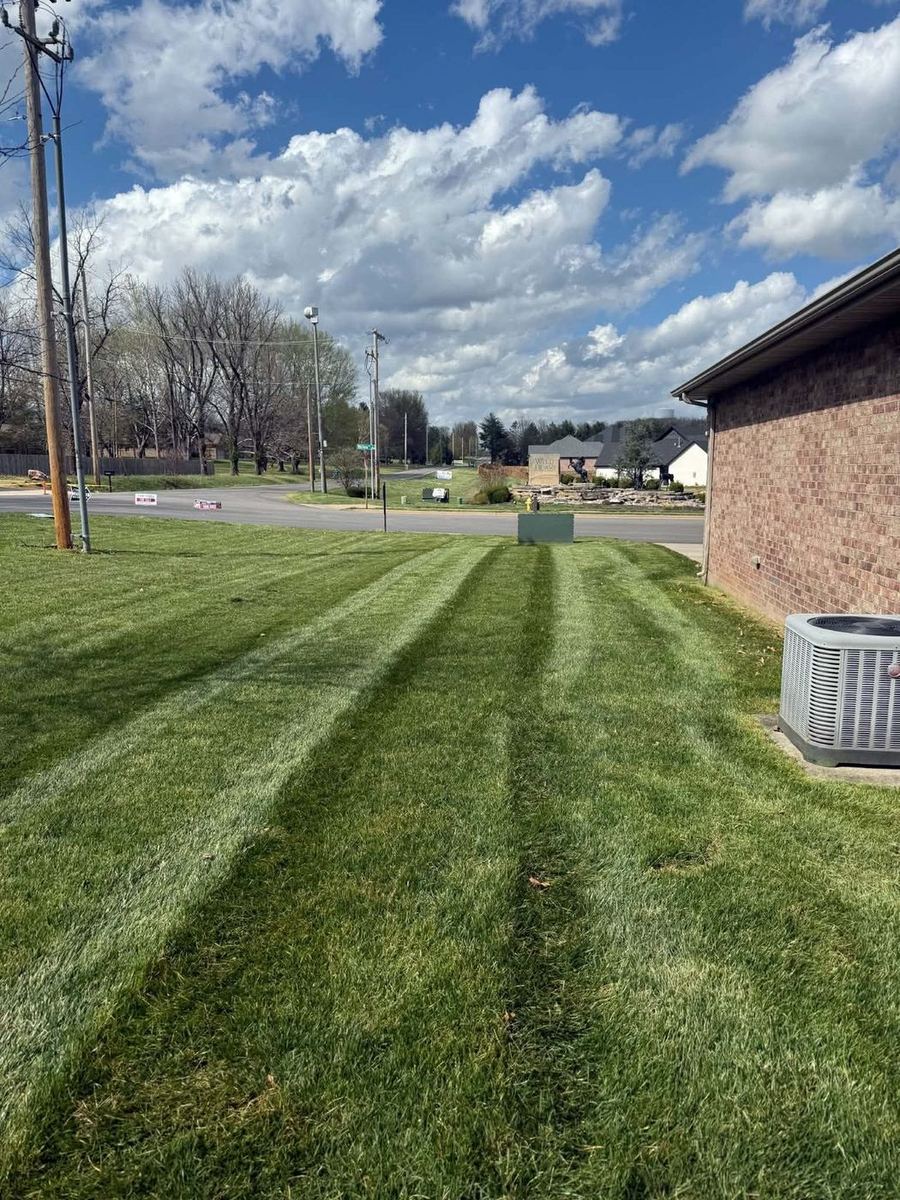 Narrow side yard mowed clean end to end